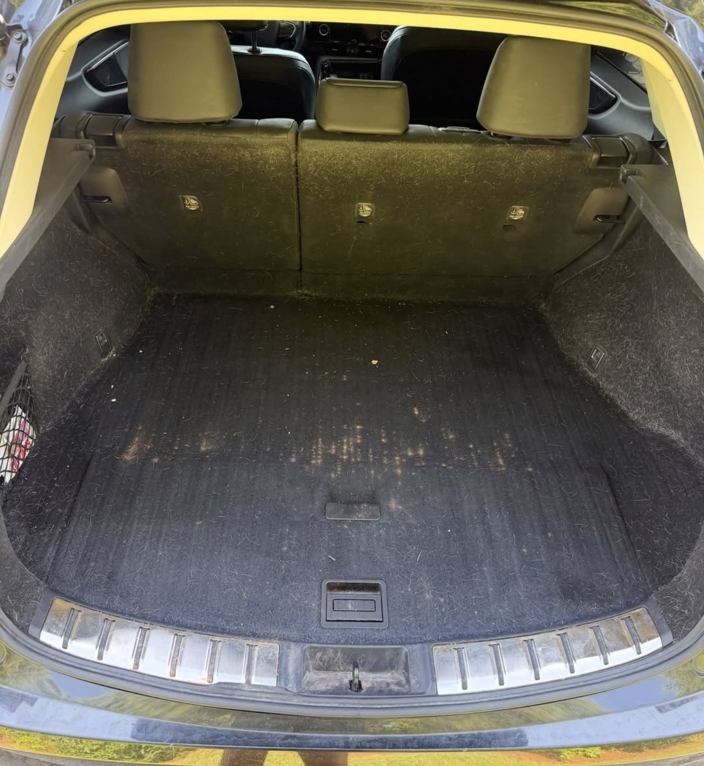 Lexus NX cargo area before cleaning, with dirt and pet hair